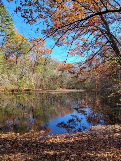 Walking Trails - Winston-Salem, NC