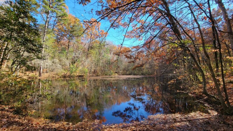 Walking Trails - Winston-Salem, NC