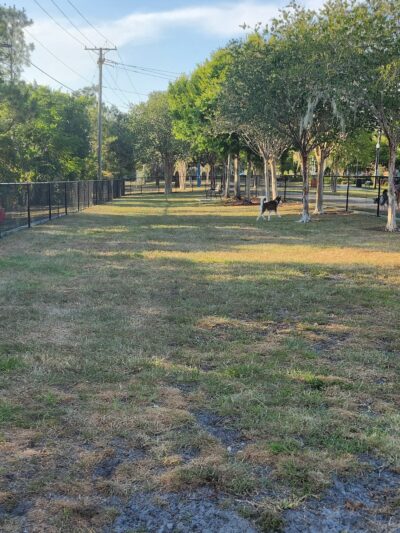 K9 Courtyard Dog Park - Winter Haven, FL