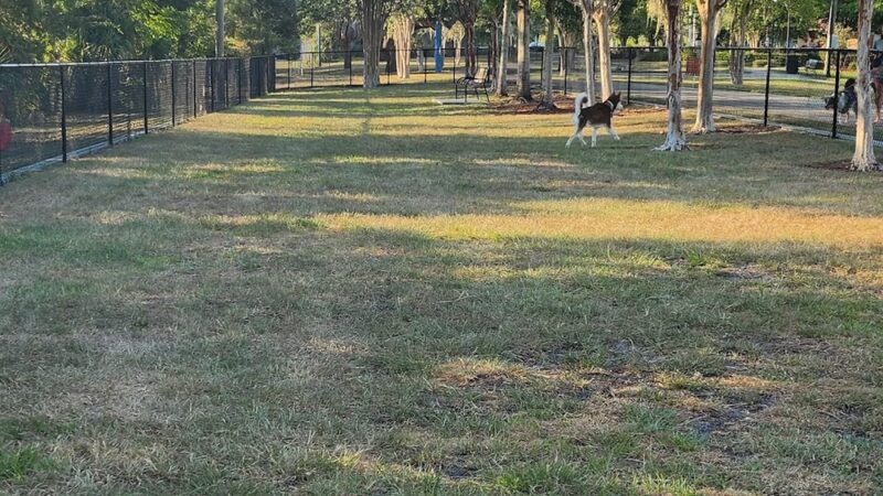 K9 Courtyard Dog Park - Winter Haven, FL