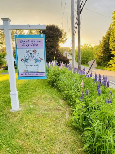 Birch Point Dog Spa - Wiscasset, ME