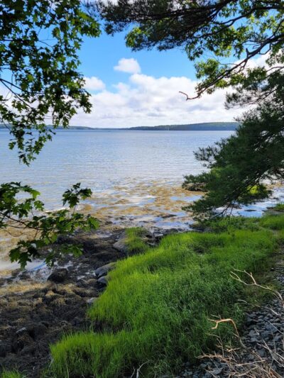 Chewonki's Eaton Farm Preserve (Back River Trail) - Wiscasset, ME