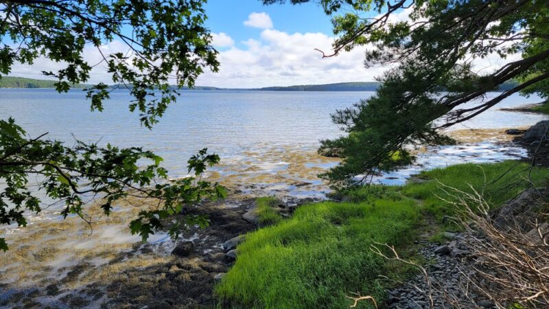 Chewonki's Eaton Farm Preserve (Back River Trail) - Wiscasset, ME