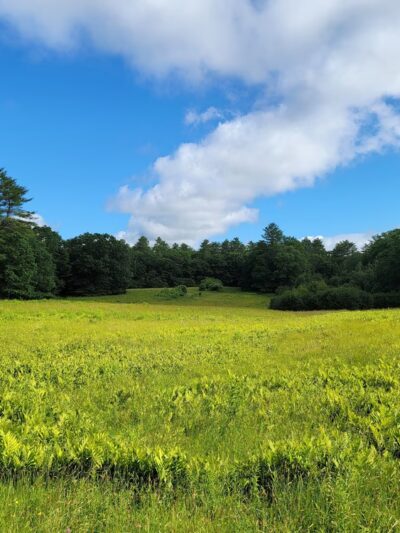 Chewonki's Eaton Farm Preserve (Back River Trail) - Wiscasset, ME