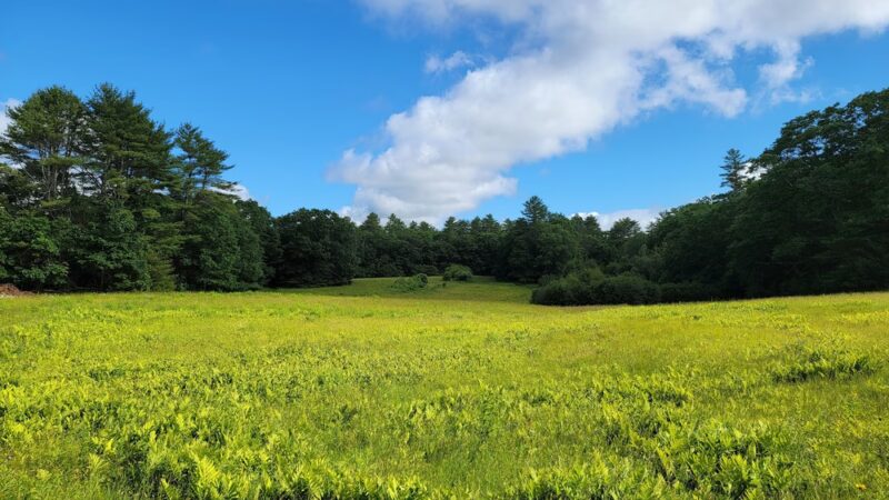 Chewonki's Eaton Farm Preserve (Back River Trail) - Wiscasset, ME