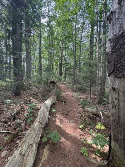 Chewonki's Eaton Farm Preserve (Back River Trail) - Wiscasset, ME