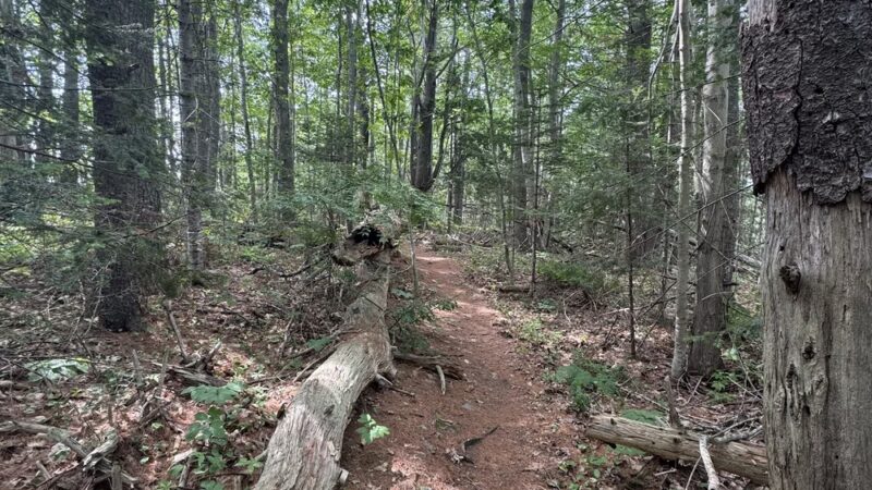 Chewonki's Eaton Farm Preserve (Back River Trail) - Wiscasset, ME