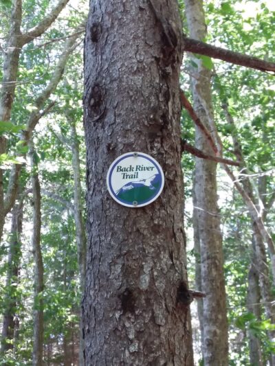 Chewonki's Eaton Farm Preserve (Back River Trail) - Wiscasset, ME