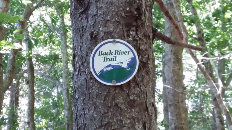 Chewonki's Eaton Farm Preserve (Back River Trail) - Wiscasset, ME