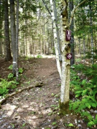 Shea Family Land Trust - Wiscasset, ME