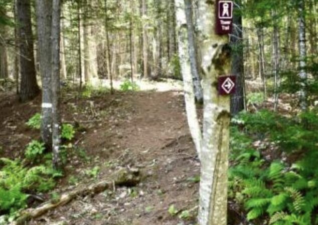 Shea Family Land Trust - Wiscasset, ME