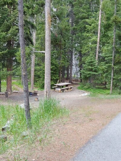 Lodgepole Campground - Wise River, MT