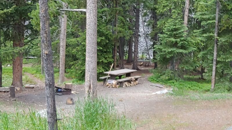 Lodgepole Campground - Wise River, MT