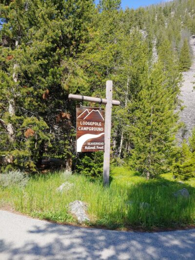 Lodgepole Campground - Wise River, MT