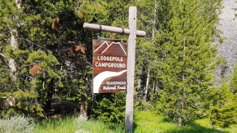 Lodgepole Campground - Wise River, MT