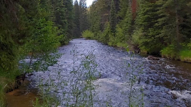 Lodgepole Campground - Wise River, MT