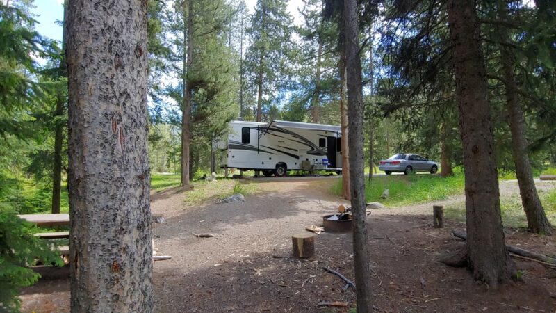 Lodgepole Campground - Wise River, MT