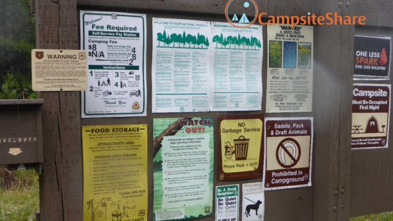 Lodgepole Campground - Wise River, MT