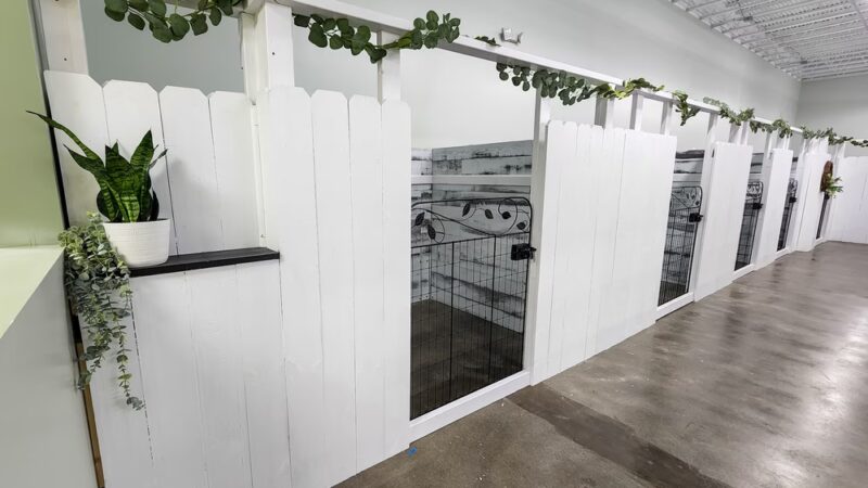 Paw Plaza LLC - Wise, VA