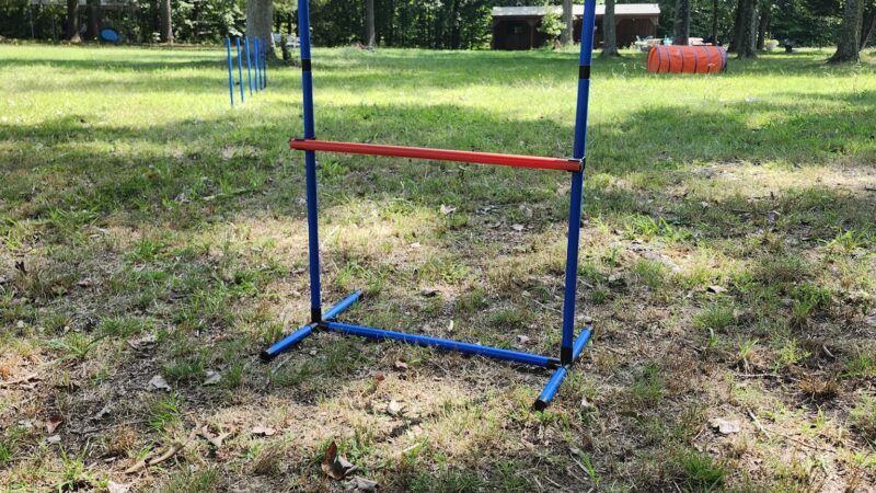 Felicia's Farmette -Dog Park - Woodbridge, VA