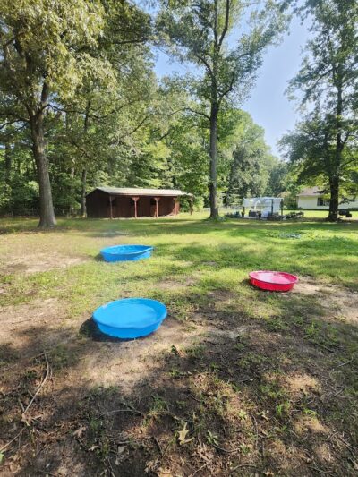 Felicia's Farmette -Dog Park - Woodbridge, VA