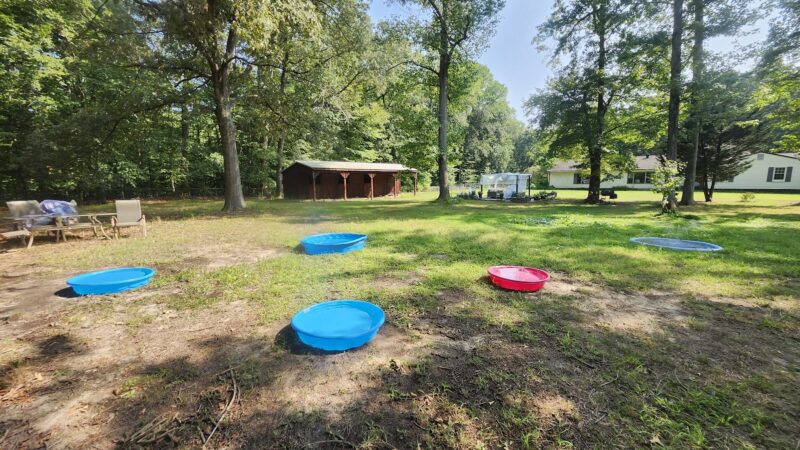 Felicia's Farmette -Dog Park - Woodbridge, VA