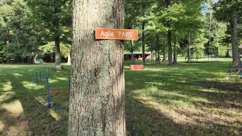 Felicia's Farmette -Dog Park - Woodbridge, VA