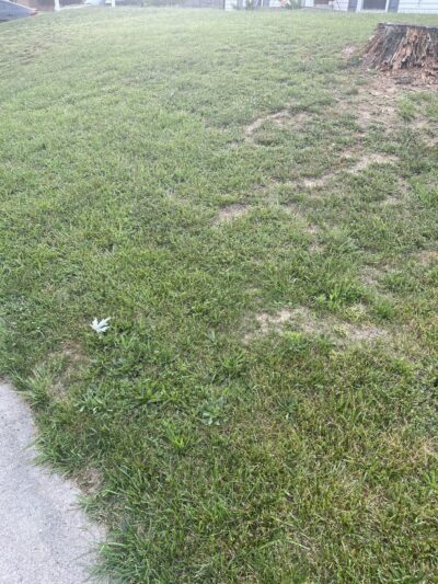 Hylbrook Park - Woodbridge, VA