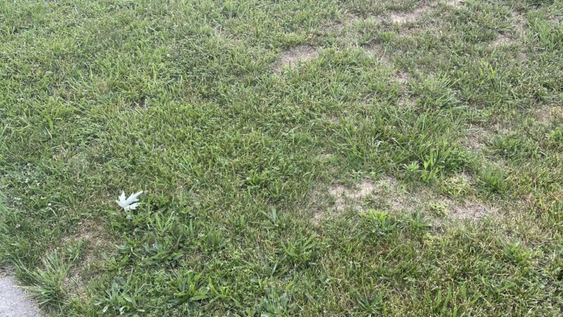 Hylbrook Park - Woodbridge, VA