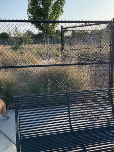 Jack Slaven Dog Park - Woodland, CA