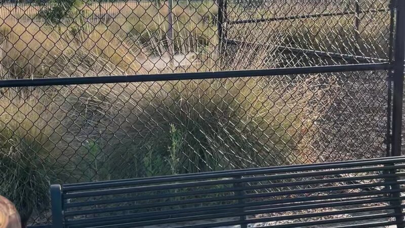 Jack Slaven Dog Park - Woodland, CA