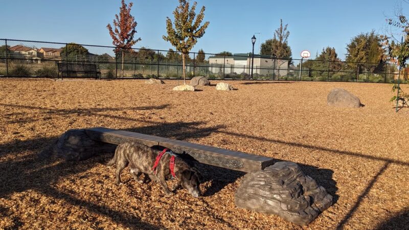 Jack Slaven Dog Park - Woodland, CA