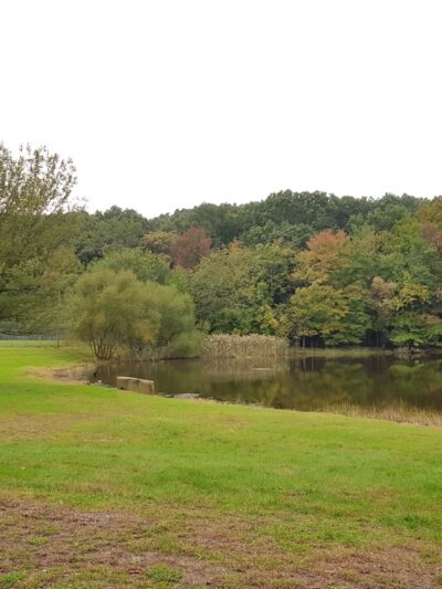 Frank D Zaccaria Memorial Park - Woodland Park, NJ