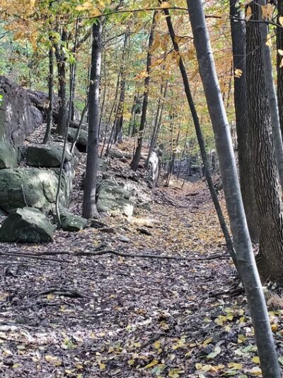Rifle Camp Park - Woodland Park, NJ