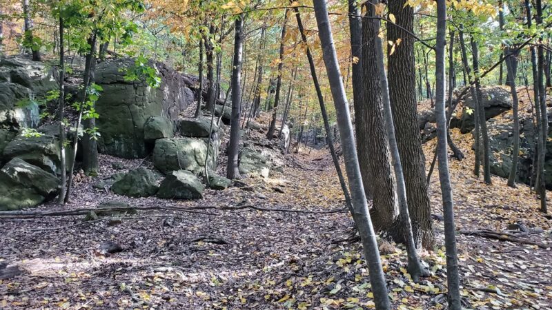 Rifle Camp Park - Woodland Park, NJ