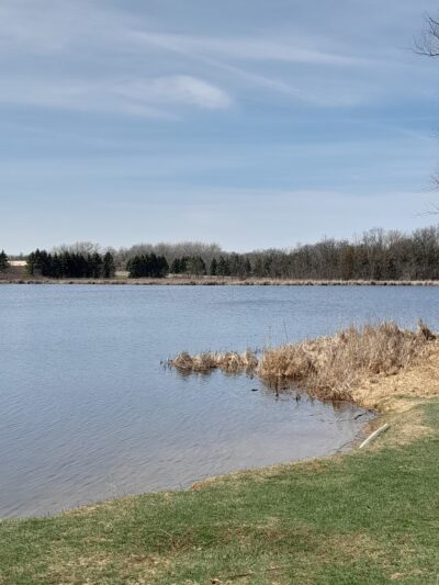 Dog Lake - Woodland Township, MN