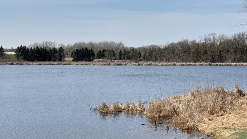 Dog Lake - Woodland Township, MN