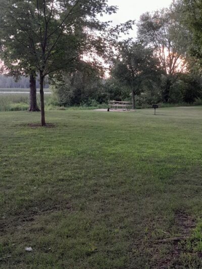 Dog Lake - Woodland Township, MN