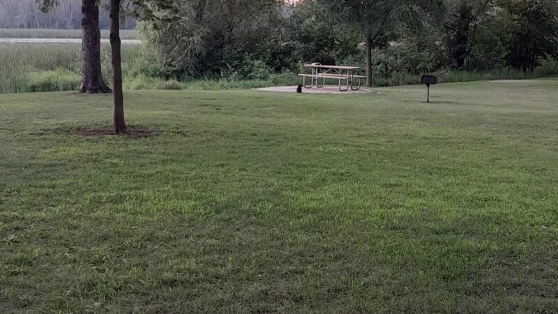 Dog Lake - Woodland Township, MN