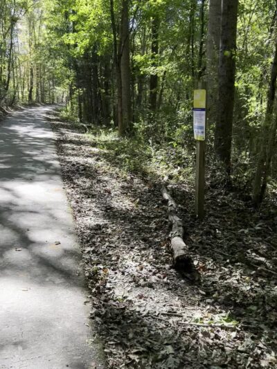 Greenway Trail - Woodruff, SC