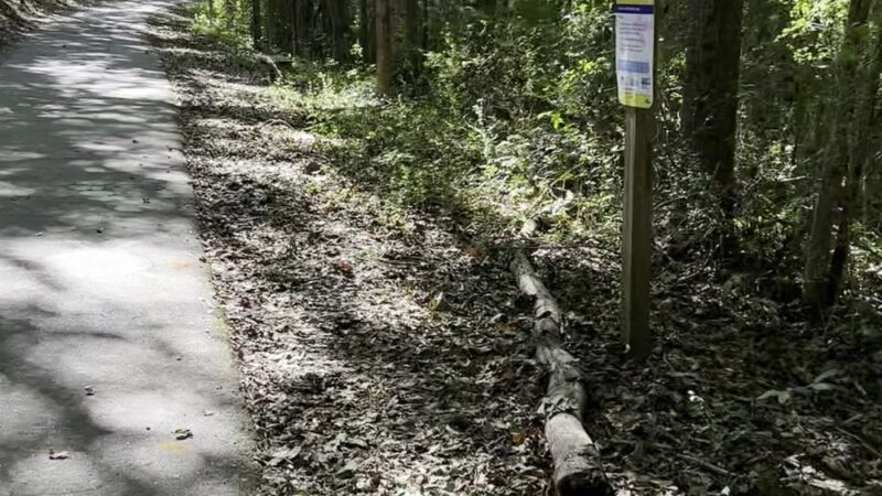 Greenway Trail - Woodruff, SC