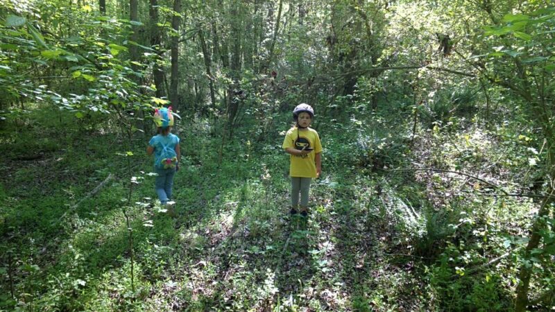 Greenway Trail - Woodruff, SC