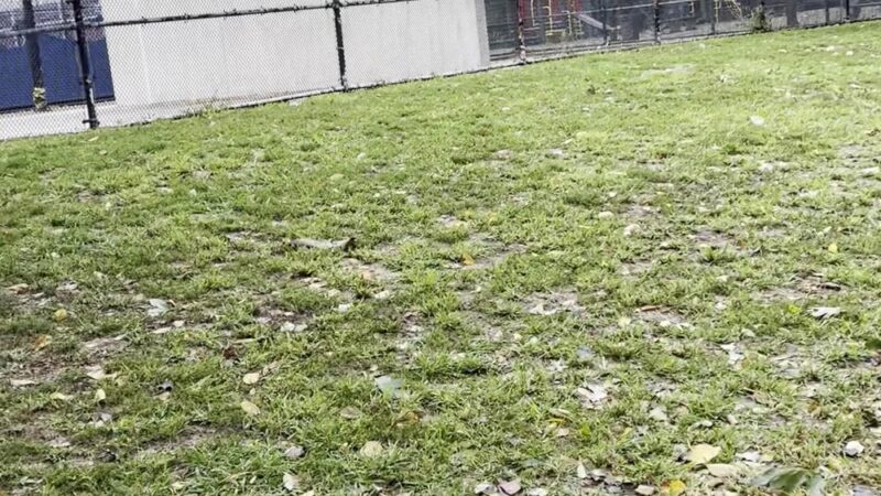 Lawrence Virgilio Playground - Woodside, NY