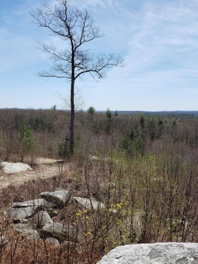 Wyndham Land Trust Bull Hill Forest Preserve - Woodstock, CT