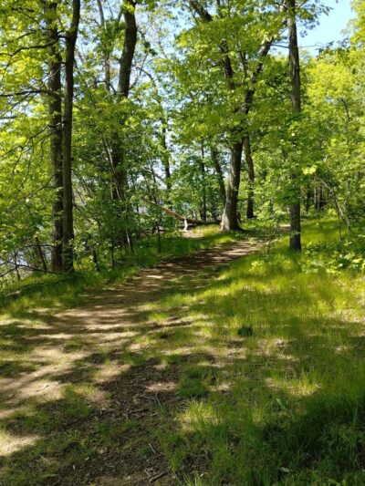 Wyndham Land Trust Bull Hill Forest Preserve - Woodstock, CT