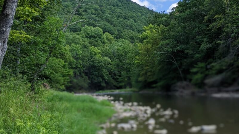 Poe Paddy State Park - Woodward, PA