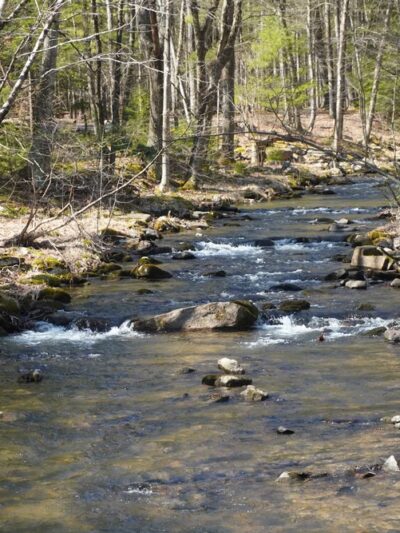 Poe Paddy State Park - Woodward, PA
