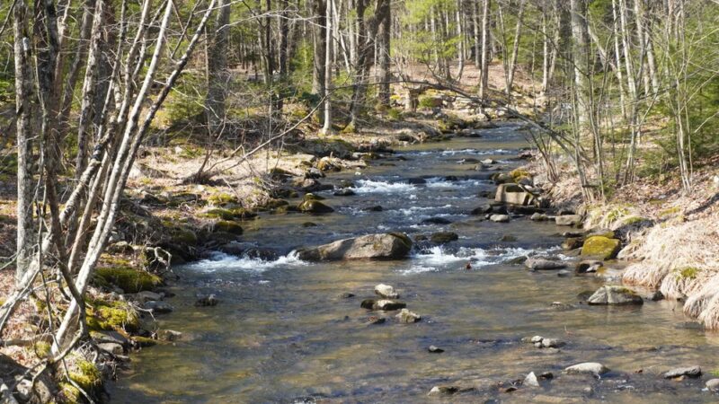 Poe Paddy State Park - Woodward, PA