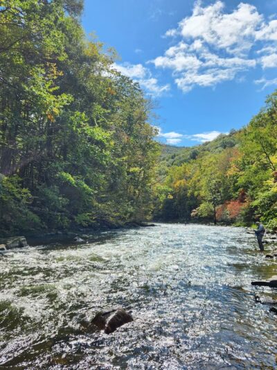 Poe Paddy State Park - Woodward, PA