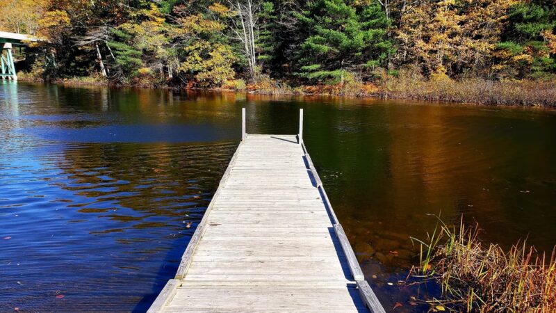 Nequasset Park - Woolwich, ME